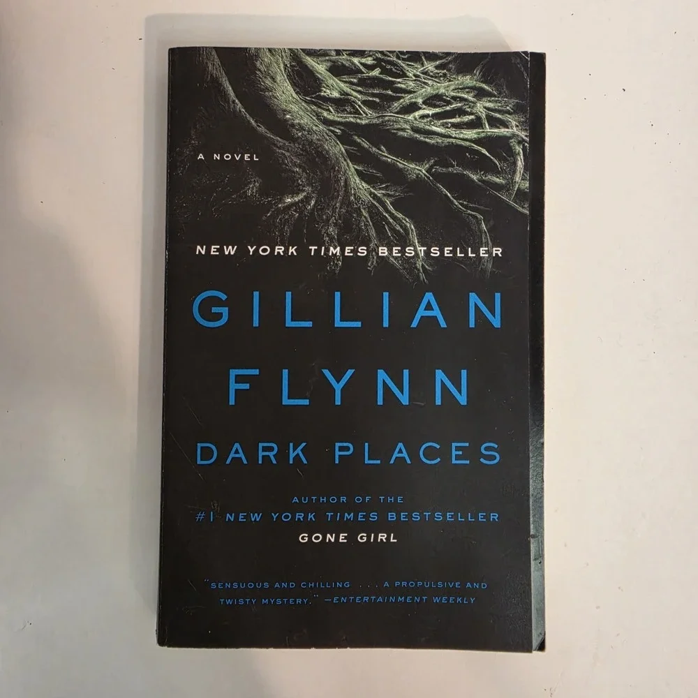 Dark Places : A Novel by Gillian Flynn (2010, Trade Paperback)